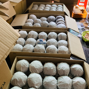 Cuencos de coco al por mayor más vendidos, nácar con incrustaciones florales naturales hechos en Vietnam - Product Image 6