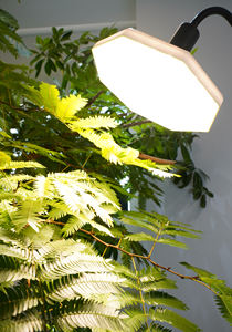 ROKI 50W IP54 Octogonal LED Éclairage d'intérieur pour plantes et aquariums Ra97 High CRI 610-620 PPFD Grow Lamp avec large irradiation - Product Image 5