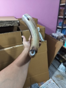 Cuerno de búfalo doméstico 100%, cuerno de trompeta de juguete, acabado decorativo con agujero de soplado, característica de Animal de estilo vikingo ecológico - Product Image 3