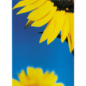 Carte de vœux style simple avec grand tournesol, impression numérique, Nouvel An, personnalisation OEM/ODM, logo sur mesure bienvenu - Product Image 1