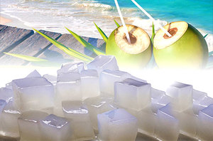 Nata de coco (gelatina de coco) Hecho de agua de coco natural 100% Hecho en Vietnam Mary de alta calidad - Product Image 6