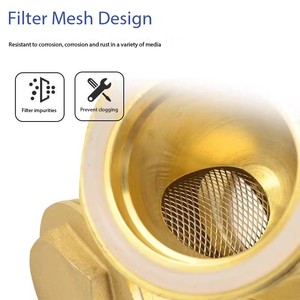 Chất lượng cao áp suất thấp Đồng lọc (PPR Đồng lọc) OEM ODM 1/2-2 "Mô hình - Product Image 6