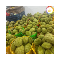Geselecteerde Verse Durian Uit Vietnam Verzonden Als Verse Durian 99 Goudgegevens, Perfect Voor Fruitmarkten En Snacks