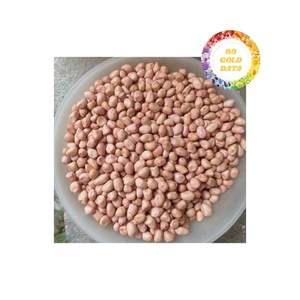 Vietnam Origin Farm Fresh Dried <strong>Peanut</strong> Kernel Produced Under Strict <strong>Quality</strong> Control Ideal For Food Manufacturing <strong>Export</strong> - Product Image 4