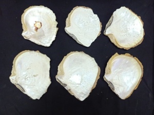 Coquilles de nacre sur mesure en tailles assorties à des fins décoratives, disponibles en tailles assorties - Product Image 4