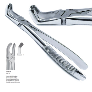 Forceps d'extraction des dents du bas (dents de sagesse) Fig. 79 Forceps chirurgicaux dentaires manuels en acier inoxydable pour chirurgie buccale - Product Image 1
