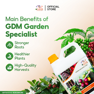 Organic <b>Liquid</b> Seaweed Bio Fertilizer for <b>Coffee</b> Cocoa Pepper Chili Fruit & Vegetable Agriculture GDM Quick Release - Product Image 3