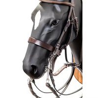 Ensemble complet de bride et de rênes pour cheval en cuir équestre de haute qualité, durable, réglable, certifié CE ISO-13485, personnalisation