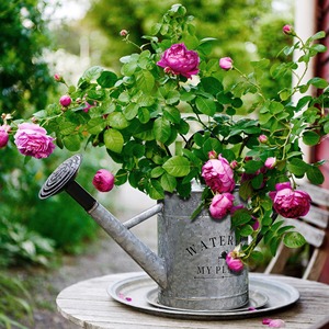 Arrosoir en métal de ferme rustique avec finition en étain brossé Parfait pour une utilisation en extérieur ou une décoration vintage - Product Image 2