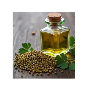 Wholesale Affordable Price Top Selling Coriander Oil for Multi Purpose Use from Indian Exporter