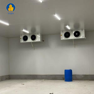 Congélateur de <span class=keywords><strong>chambre</strong></span> <span class=keywords><strong>froide</strong></span> monobloc complet avec compresseurs Dorin Tecumseh Bristol Daikin Copeland Sanyo pour le stockage des fruits de mer et des poissons - Product Image 2