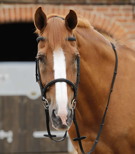 Rênes de course de qualité supérieure pour chevaux, modèle 2026, dernière conception, antidérapantes, accessoires de rênes latérales, fabricant et fournisseur, rênes d'équitation en gros - Product Image 5
