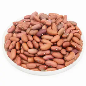 USA canned dark red kidney beans in brine with high quality