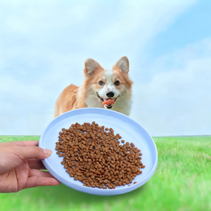 Toptan Ekolojik Özel Logolu Modern Moda İnteraktif Köpek Uçan Diski Plastik Egzersiz Oyuncağı <span class=keywords><strong>S</strong></span>/M/L Boyutları - Product Image 3