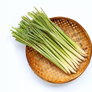 PRECIO COMPETITIVO VIETNAM LIMONGRASS CONGELADO STALK NATURAL - Product Image 5