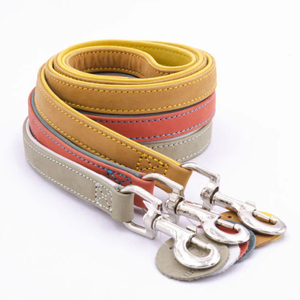 Collar para Mascotas de Acero Inoxidable Acolchado Premium con Patrón Sólido, Ajustable, Cómodo y Resistente, Collar de Seguridad para Perros y Gatos, Venta al por Mayor - Product Image 5