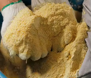 Harina de Gluten de Maíz de Alta Calidad |   Harina de Gluten de Maíz con Proteína Animal al 60% para Alimentación de Aves - Product Image 2