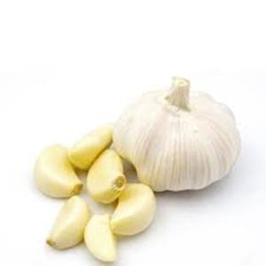 Venta a granel de dientes de ajo fresco - Product Image 5