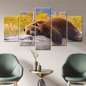 Oso pardo descansando sobre una rama - Arte moderno impreso en lienzo para pared, mezcla de 5 piezas: envoltura tipo galería - Product Image 1