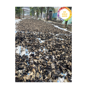เห็ดหูไม้คุณภาพระดับพรีเมี่ยมสำหรับอาหารและจานต่างๆแห้งจากเวียดนาม - Product Image 1
