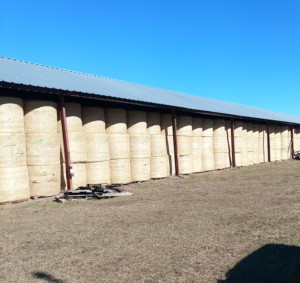 หญ้าอัลฟัลฟาในก้อนสำหรับสุนัขหมูและปลาเกรดอาหารที่ดีที่สุด - Product Image 4