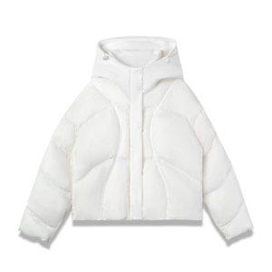 Best Quality Winter 2025 Collection Functional puffer jacket Style Hooded Blank Casual <b>Cotton</b>-<b>padded</b> Puffer Men's Jackets - Product Image 3