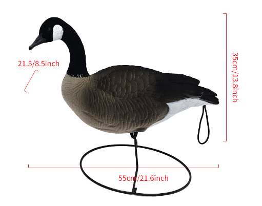 Tête debout floquée, leurre de cane à tête blanche canadienne