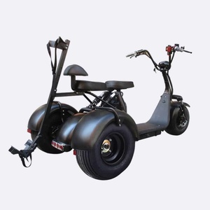 Offres Spéciales sur le Tricycle Électrique de Golf Robuste Links_Eride X7 3 Roues 2000W 60V 20Ah – Garantie 3 Ans – Neuf – En Stock - Product Image 1
