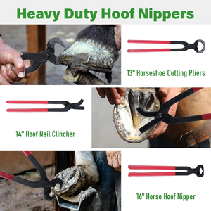 Kit Profesional Ariston de 8 Piezas para Herrador, Porta Agujas y Pinzas de Acero Inoxidable, Cortaúñas para Cascos de Caballos, Vendaje Autoadhesivo para Caballos - Product Image 3