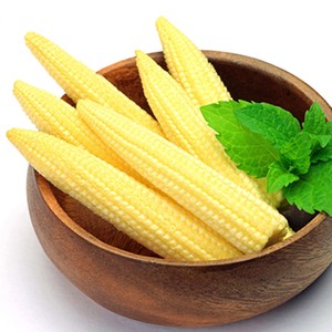 Embalaje de maíz en lata para bebé, calidad Premium, precio barato - Product Image 6