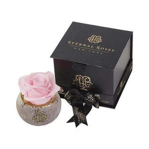Mini for Tiffany Luxury Rose Preserved Natural Roses for Valentine's Day and Mother's Day Gifts - Product Image 5