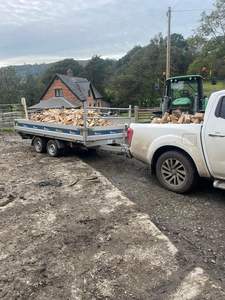 Alta calidad Europa-Roble seco Haya y horno Leña Productos relacionados con la energía Leña dividida - Product Image 4