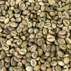 Granos de Café Robusta Vietnamita de Alta Calidad AA+, Tamaño 16, Sabor Natural Puro, Exportación a Granel, Bolsas de PP de 60 kg, Venta al por Mayor de Fábrica - Product Image 6