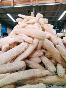 Material de lufa entera seca/almohadilla de lufa/esponja exfoliante de lufa de 99 Gold Data en Vietnam Esponja de lufa grande seca al sol - Product Image 6