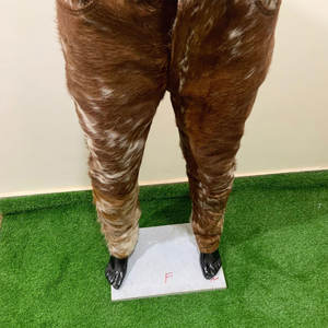 Produit tendance, pantalon en cuir de vachette sur mesure, meilleur prix, pantalon en cuir de vachette à étiquette privée pour hommes - Product Image 3