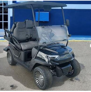 Venta al por Mayor del NUEVO Carro FAV 2025 para 4 Pasajeros con Titanio - Product Image 3