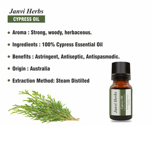 น้ำมันหอมระเหยไซเปรสนอร์ออร์แกนิก100% บริสุทธิ์สำหรับผมบนใบหน้า - Product Image 5