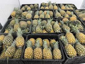 Morceaux d'ananas congelés de haute qualité, naturellement sucrés, juteux et polyvalents pour les recettes sucrées et salées. - Product Image 2