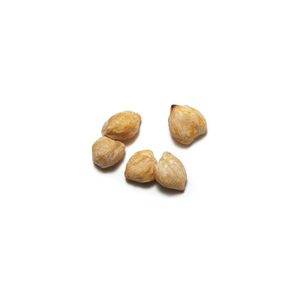 Nueces de Vela en Oferta, Nueces Peladas de Alta Calidad, Grado Premium AA, Calidad Premium, Frescas, Empaque de 50 kg - Product Image 5