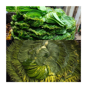 Productos Agrícolas de Seis Estaciones de Calidad de Exportación, Hoja de Betel Fresca, Hoja de Paan Verde Natural de Bangladesh, Suministro al por Mayor a Granel - Product Image 1