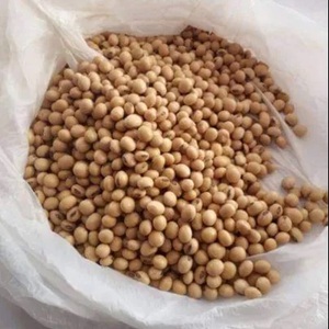 Graines de soja non-OGM à haut rendement avec 18 % de protéines, maturité précoce, conditionnement en vrac 25 kg pour une production agricole améliorée - Product Image 2
