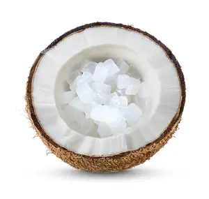 Coconut jelly 100% natural coconut export from market Vietnam