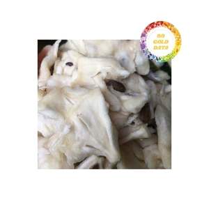 Venta al por mayor de Guanábana seca suave, Exportación de Vietnam, aperitivo Premium, comida rica en fibra sabrosa, ideal para las necesidades de compra a granel - Product Image 2