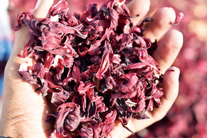 100% Té orgánico de flores de hibisco secas silvestres de primera calidad y jugos saludables Productos agrícolas - Product Image 3