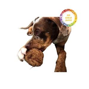 Balle à mâcher durable en fibre de noix de coco Jouet naturel écologique pour animaux de compagnie du Vietnam Conception durable faite à la main pour la récréation des chiens - Product Image 3