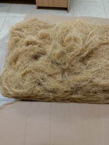 Gracilaria seca/Algas Gracilaria de Vietnam/Sra. Kate - Product Image 3