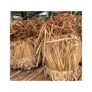 Hyacinthe d'eau séchée en gros, matière première naturelle pour rembourrage, avec prix compétitif 99GD - Product Image 1