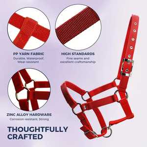 Licol de luxe pour cheval avec système de sécurité anti-évasion, en sangle de polypropylène rembourrée, avec placage en nickel perlé en alliage de zinc - Product Image 4