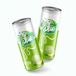 Wholesale Cheap Price and High Quality Fruit Juice Concentrate Melon from A&B Vietnam OEM Soft Drink
