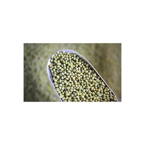 Haricots mungo verts de qualité supérieure en vrac, qualité export, légumineuses en gros - Product Image 4